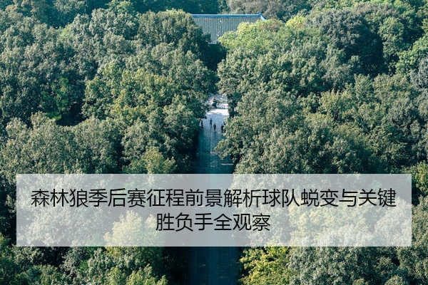森林狼季后赛征程前景解析球队蜕变与关键胜负手全观察